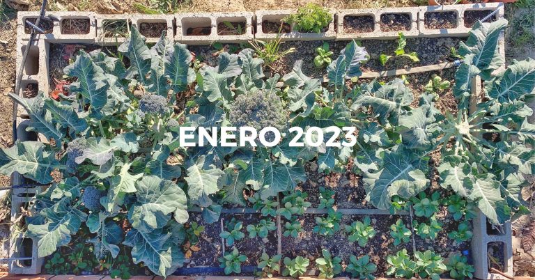 Diario de huerto: Empezamos a compostar, nueva mochila fumigadora y llegamos a bajo 0